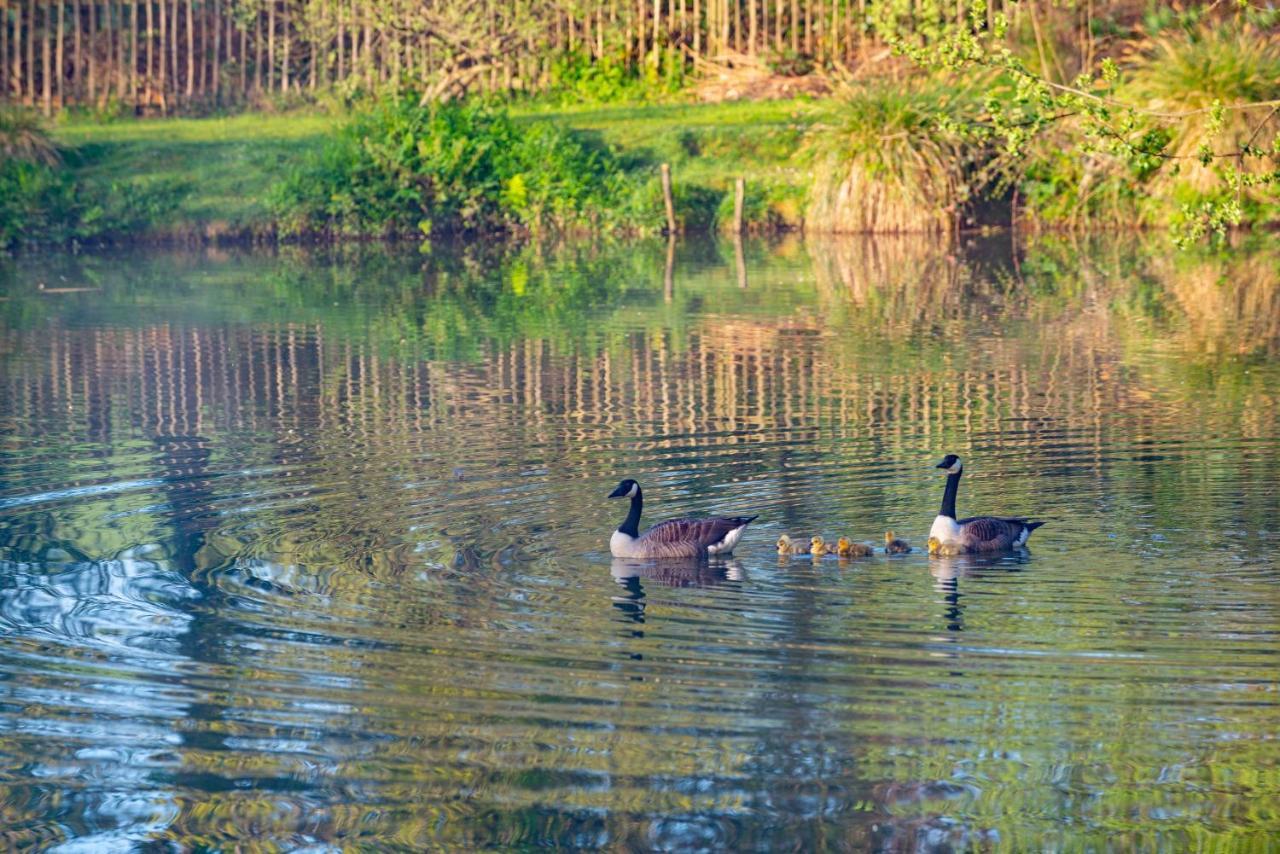 Rosefinch Sleeps 2 Persons-Private Hot Tub-Tranquil Holiday Away From It All Yet Not Far From St Austell- The Holiday Home Has One Bedroom, Living And Dining Area, Equipped Kitchen-Decking-Outdoor Furniture-Fishing Lakes-Non Pet Unit Экстерьер фото